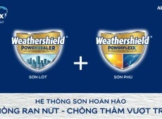 Chống rạn nứt và thẩm ẩm: chỉ sơn phủ đã đủ?